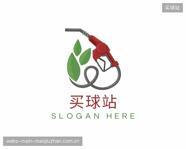 关于买球站公司